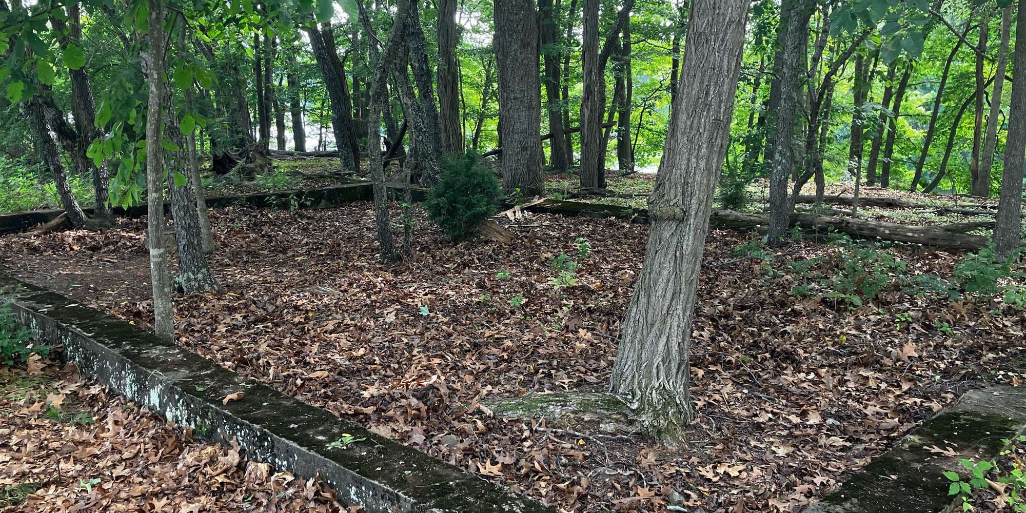 First image to compare