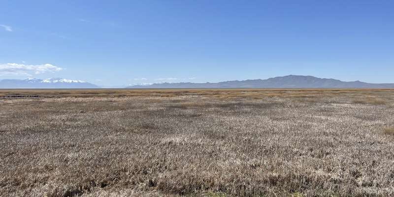 The featured photo for Great Salt Lake Shorelands Preserve Tower