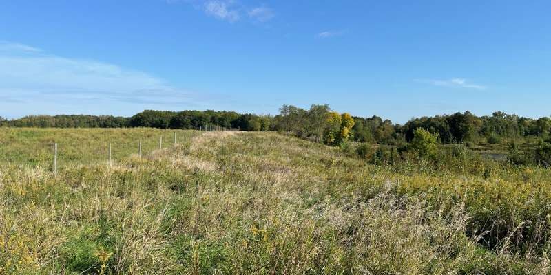 The featured photo for Elm Creek - 121st Forest Restoration