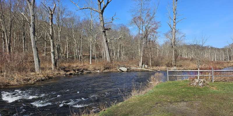 The featured photo for Ward Pound Ridge Reservation - Riparian Buffer