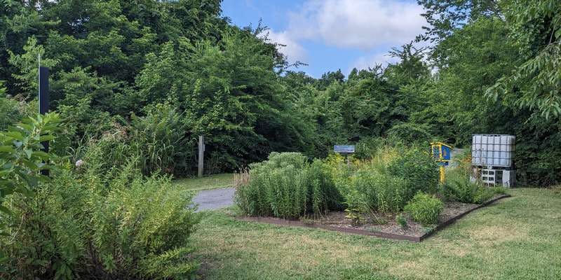 The featured photo for Petersburg Native Plant Garden Trailhead