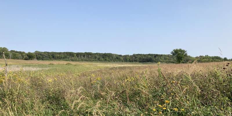 The featured photo for Baker - Southwest marsh and prairie