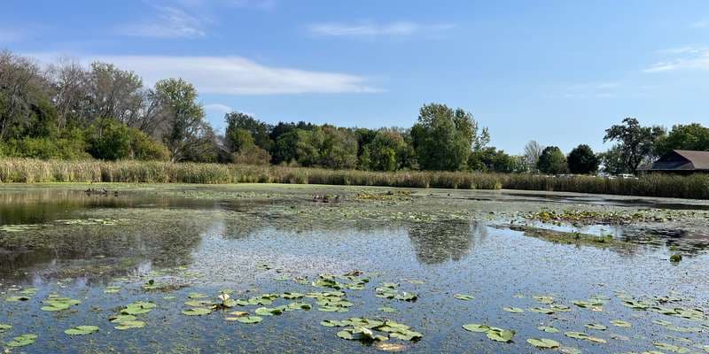 The featured photo for French	- Turtle Lagoon