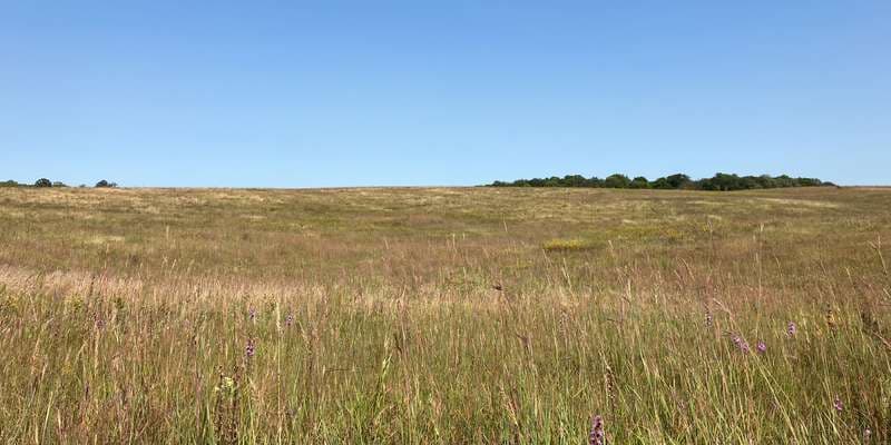 The featured photo for Crow-Hassan - Four Corners Prairie (Unit 9)