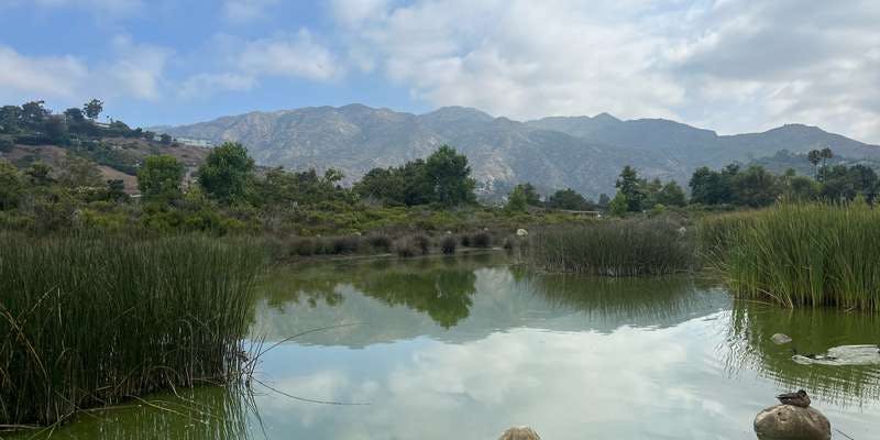 The featured photo for Legacy Park Retention Basin