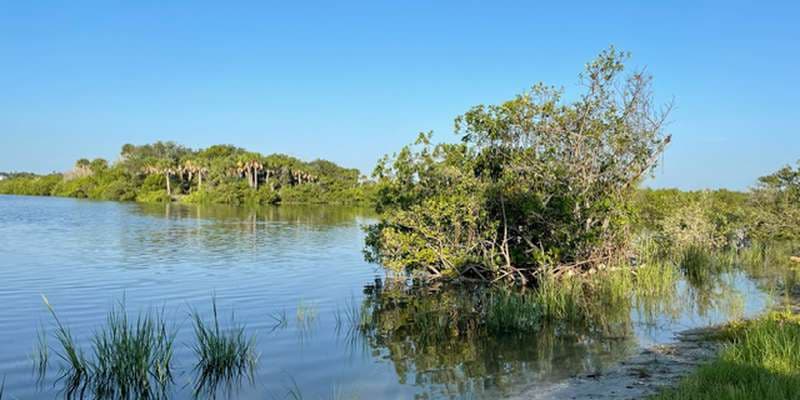 The featured photo for West Parking Living Shoreline