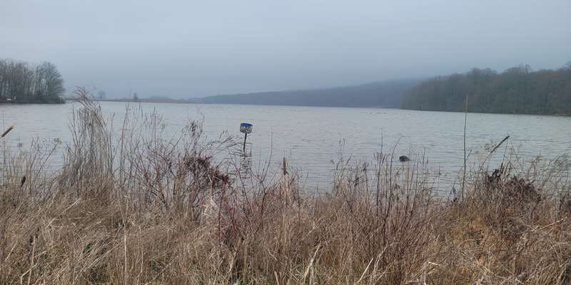 The featured photo for Stop 1 - Middle Creek Lake / Waterfowl Habitat