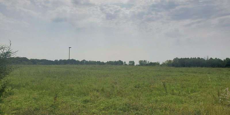 The featured photo for Carver - Nature Center Road Prairie