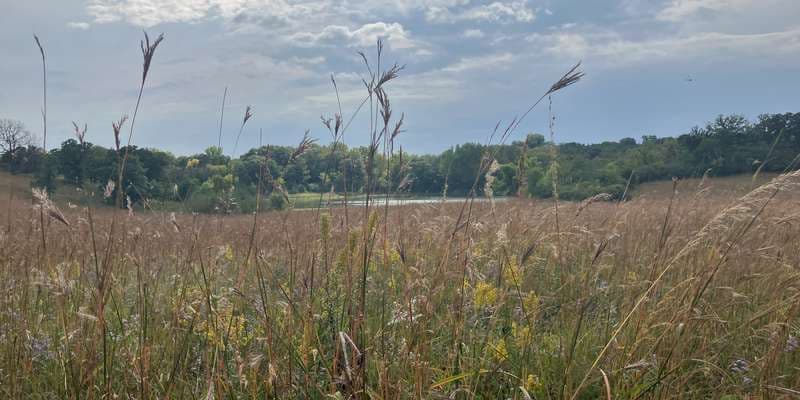 The featured photo for Hyland - Nature Center North