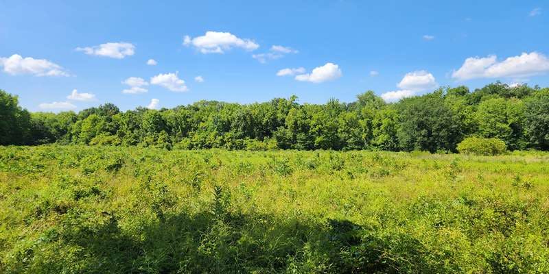 The featured photo for Sharon Woods Metro Park