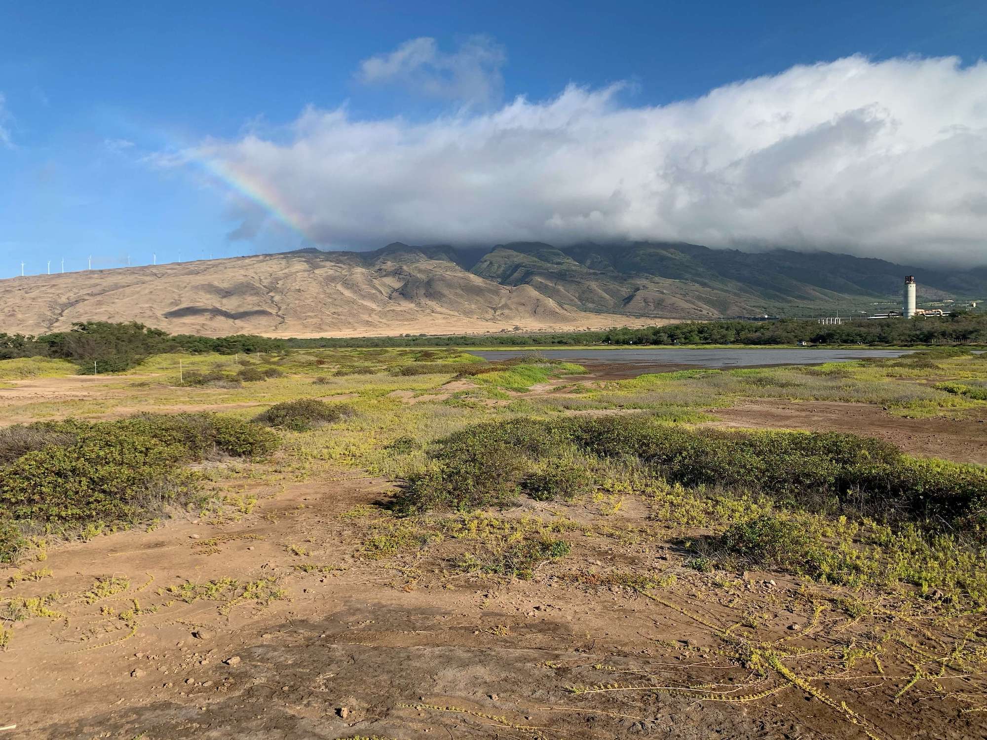 Keālia Pond National Wildlife Refuge