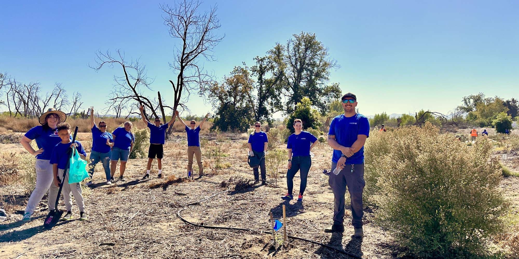 Second image to compare