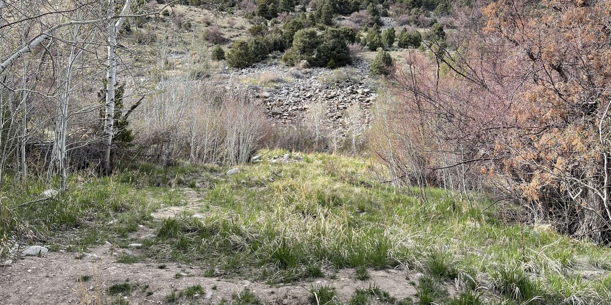 First image to compare