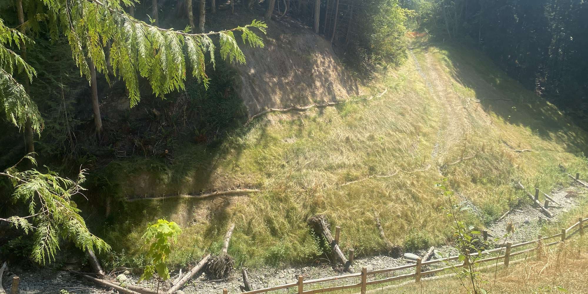 First image to compare