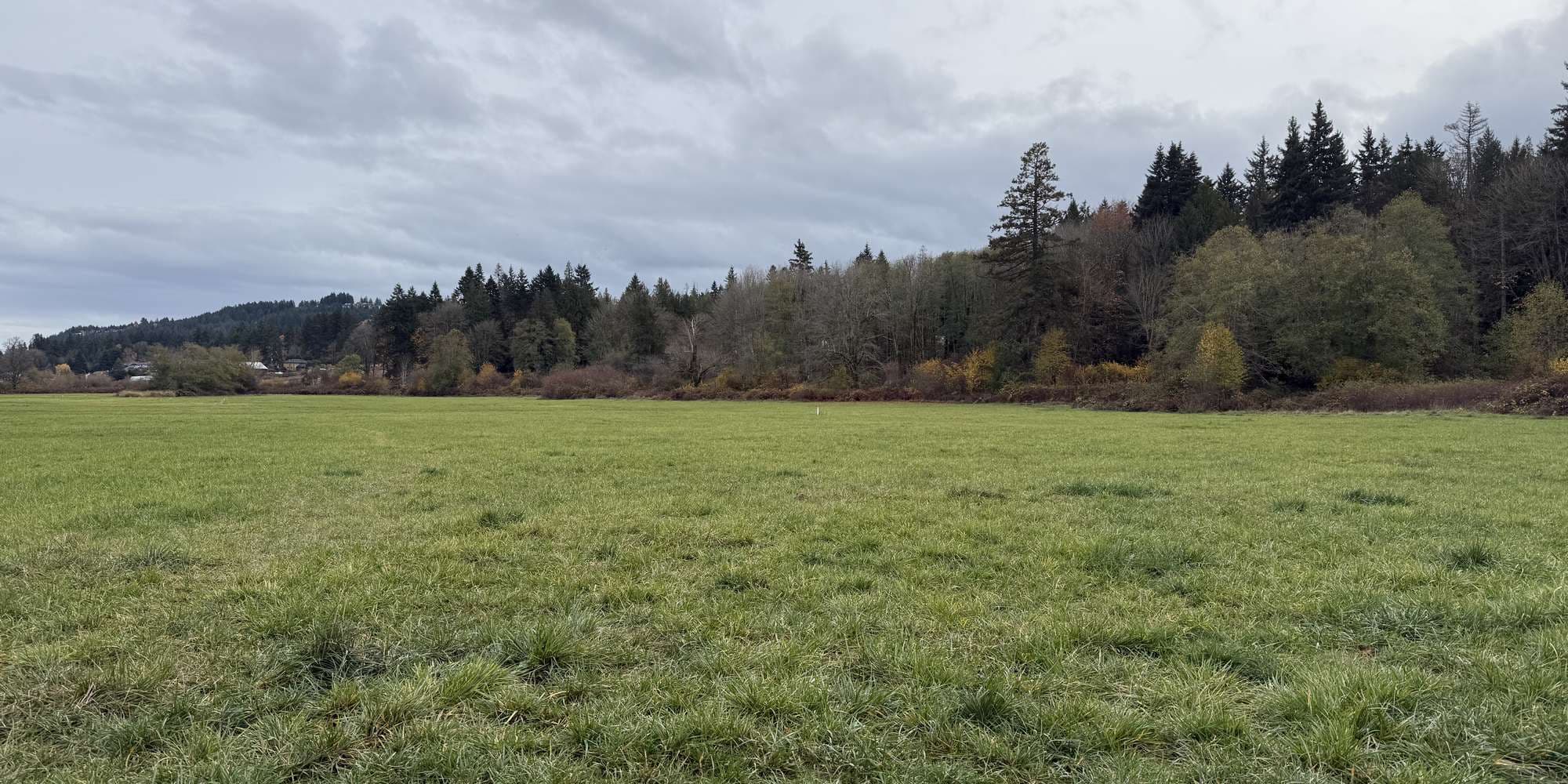 Second image to compare