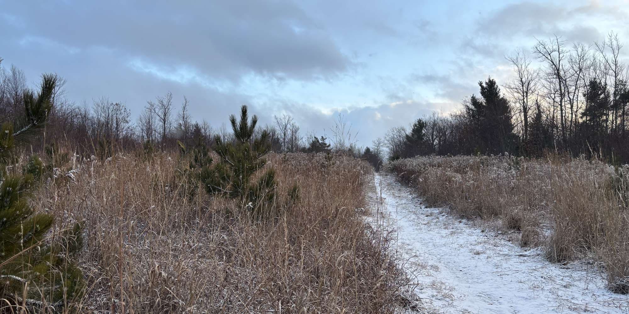 Second image to compare