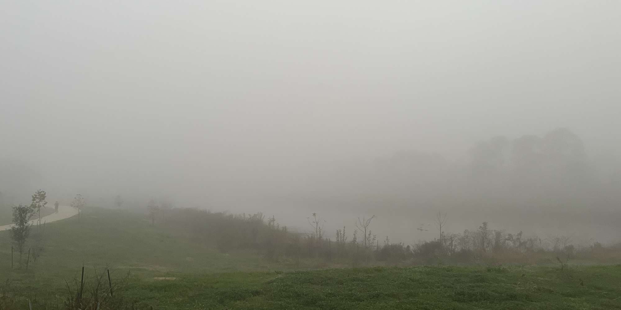 Second image to compare