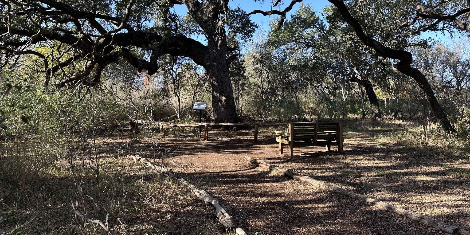 Second image to compare