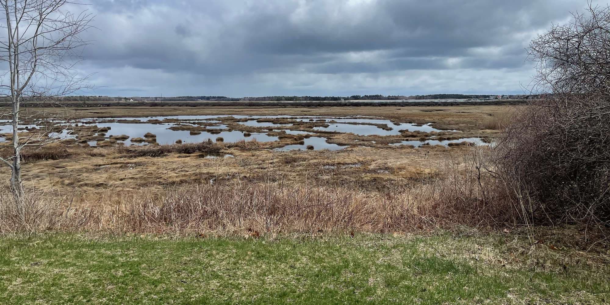 First image to compare