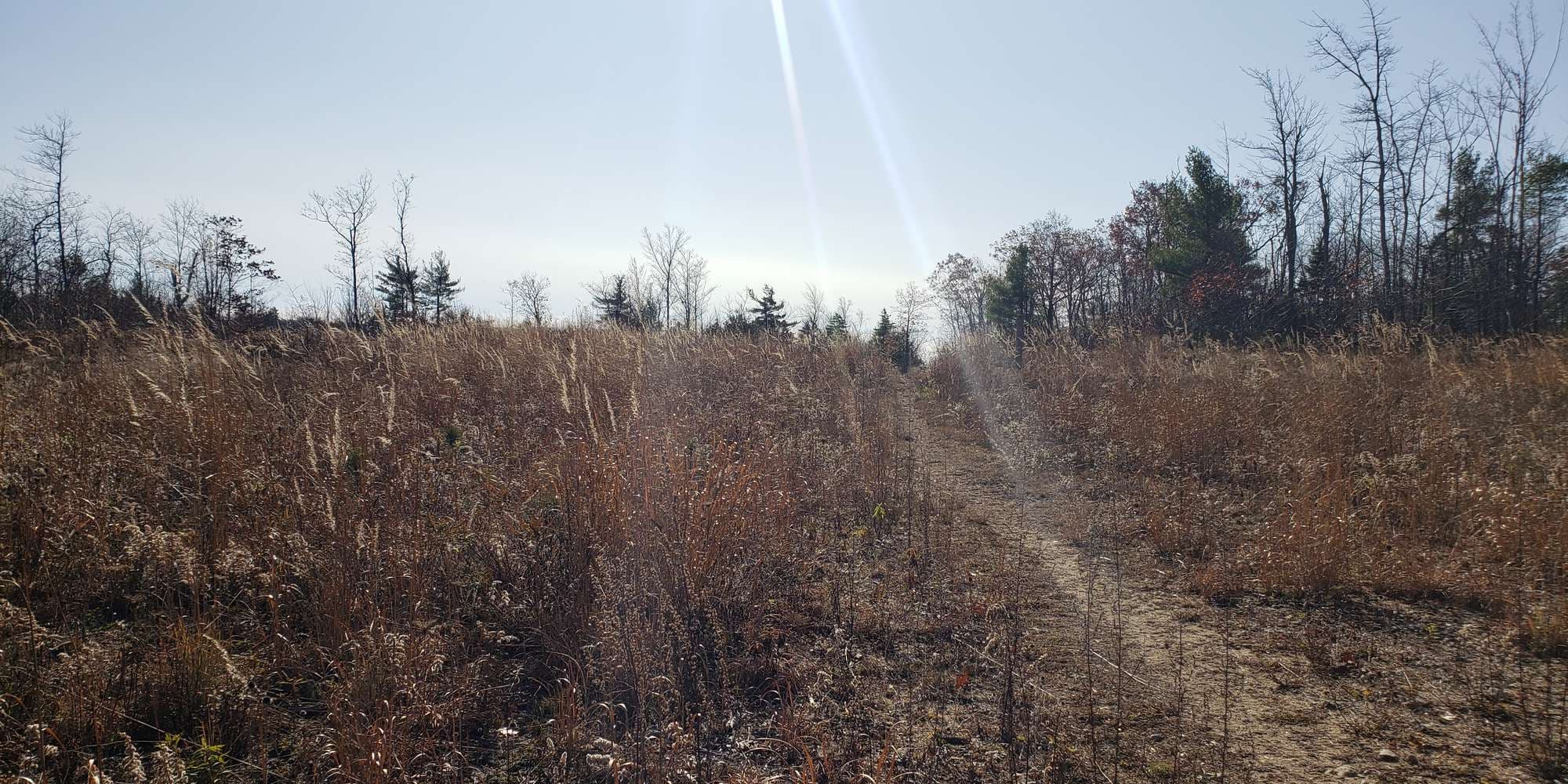 First image to compare