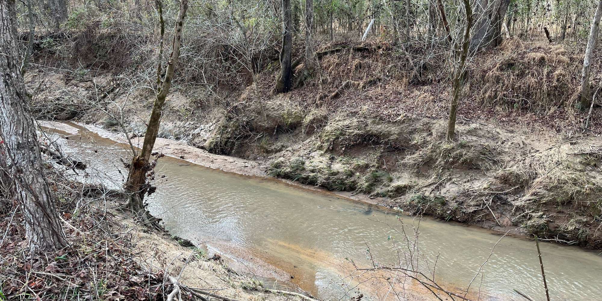 First image to compare