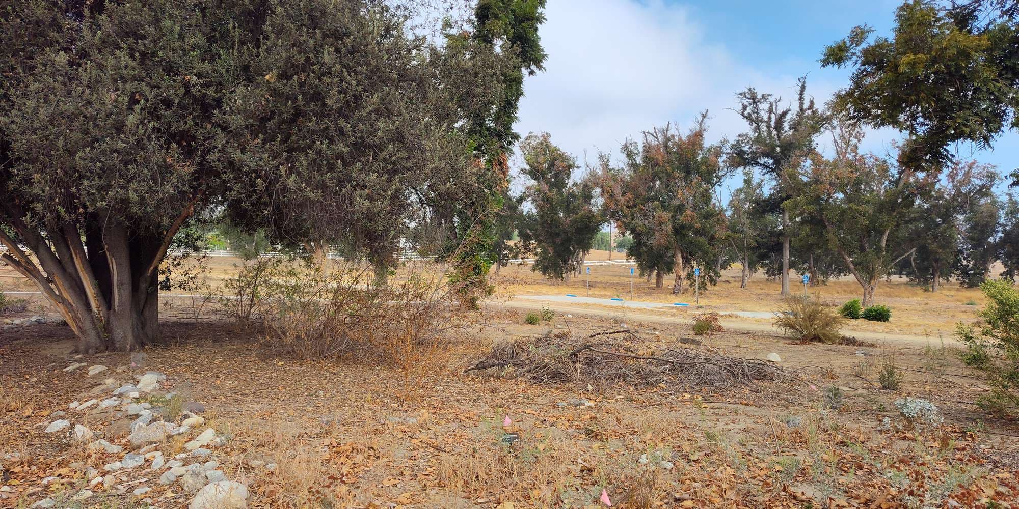 Second image to compare