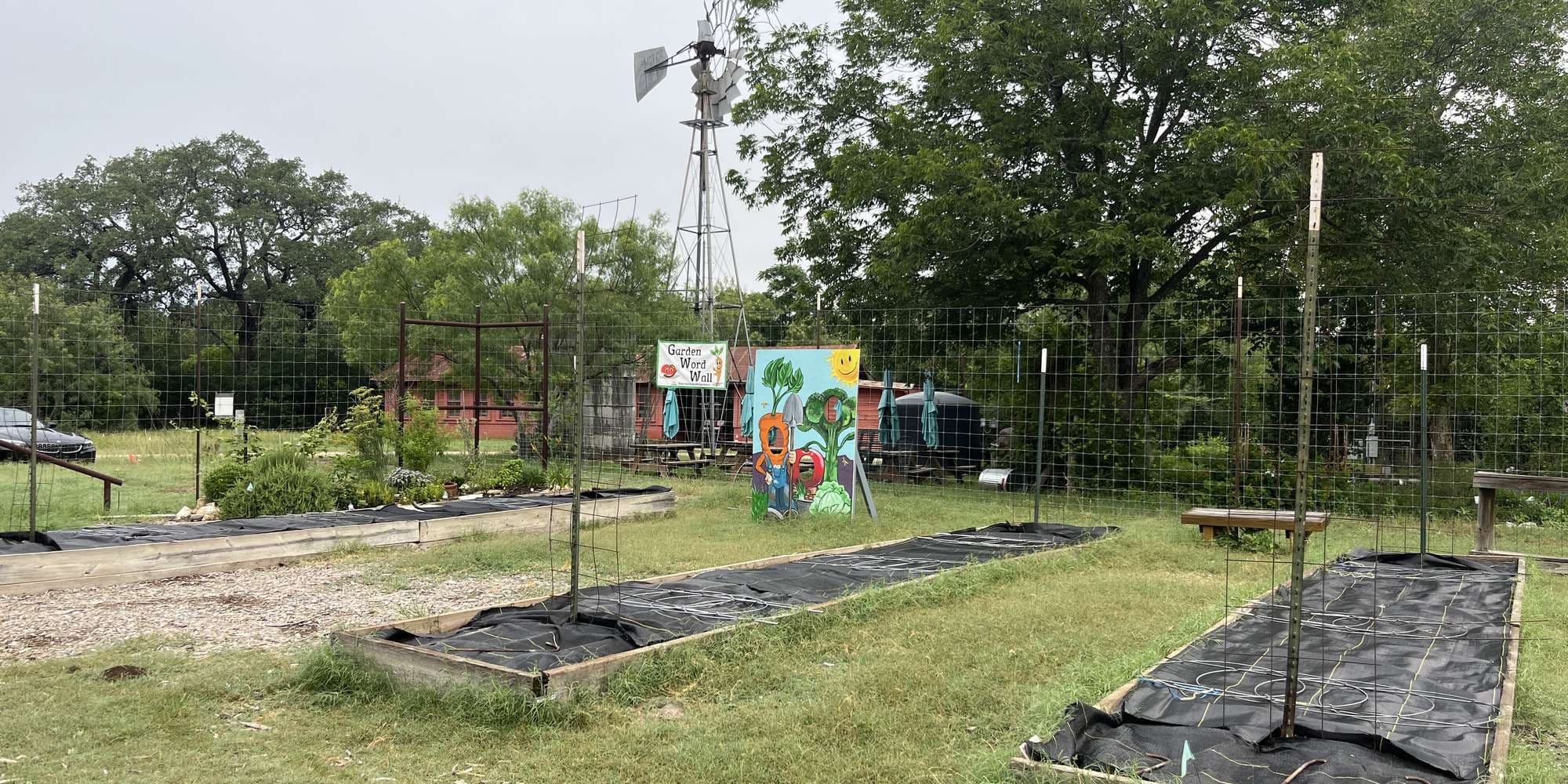 Second image to compare