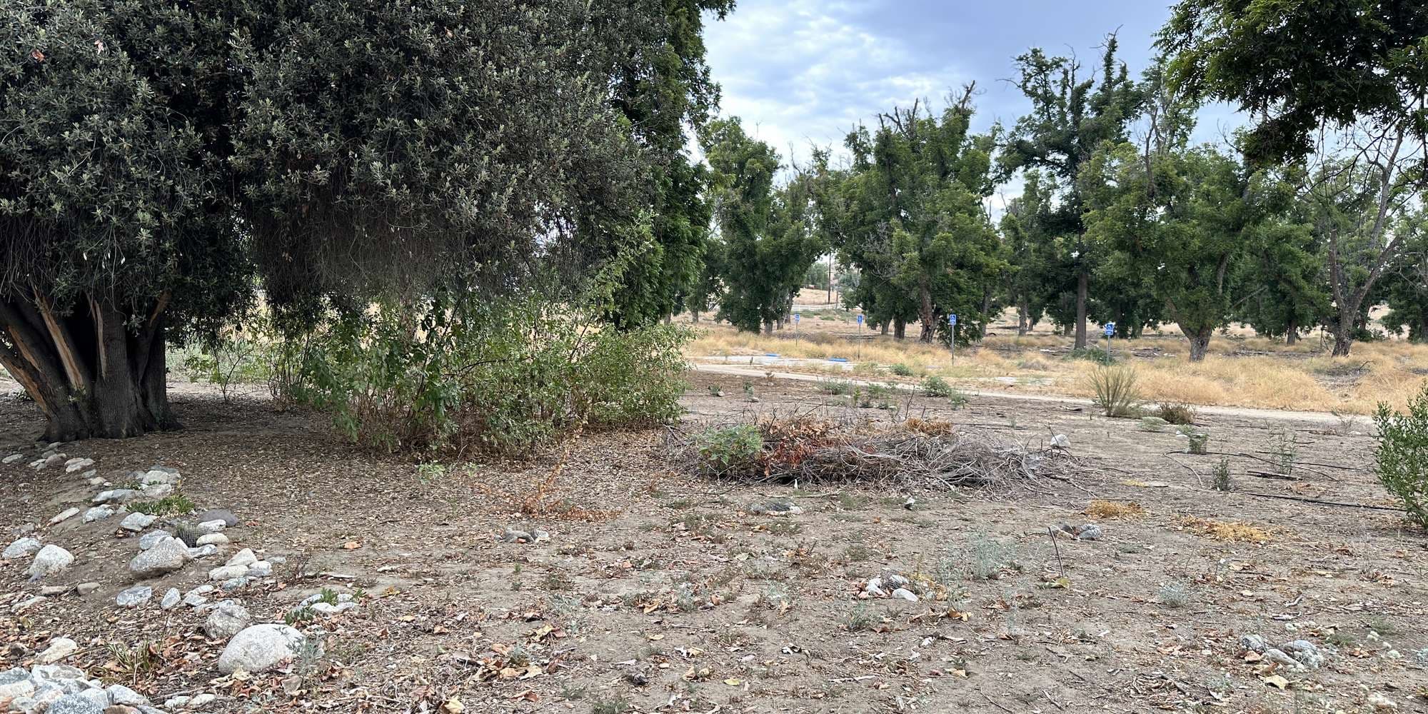 First image to compare