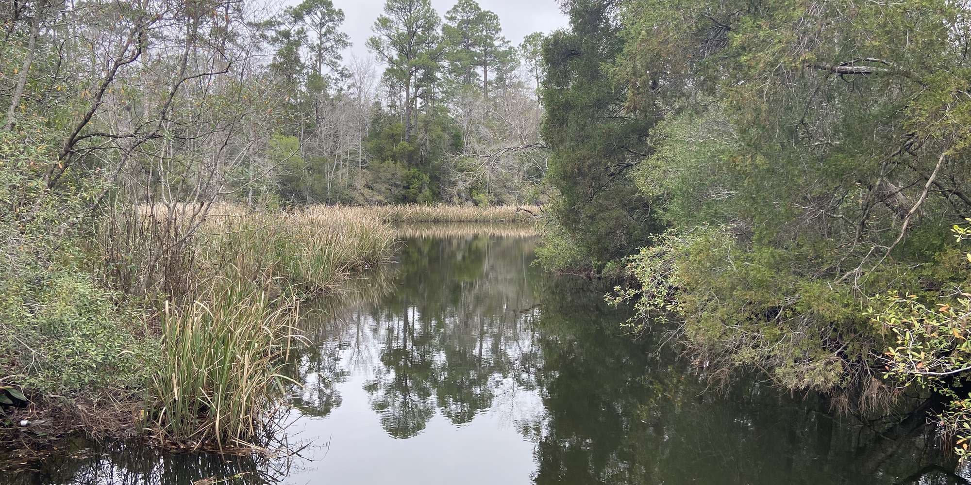 Second image to compare