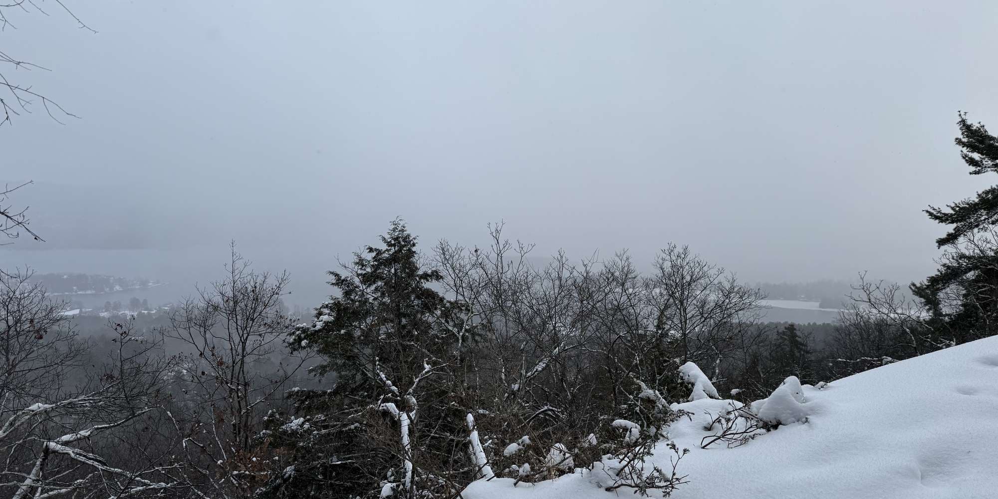 Second image to compare