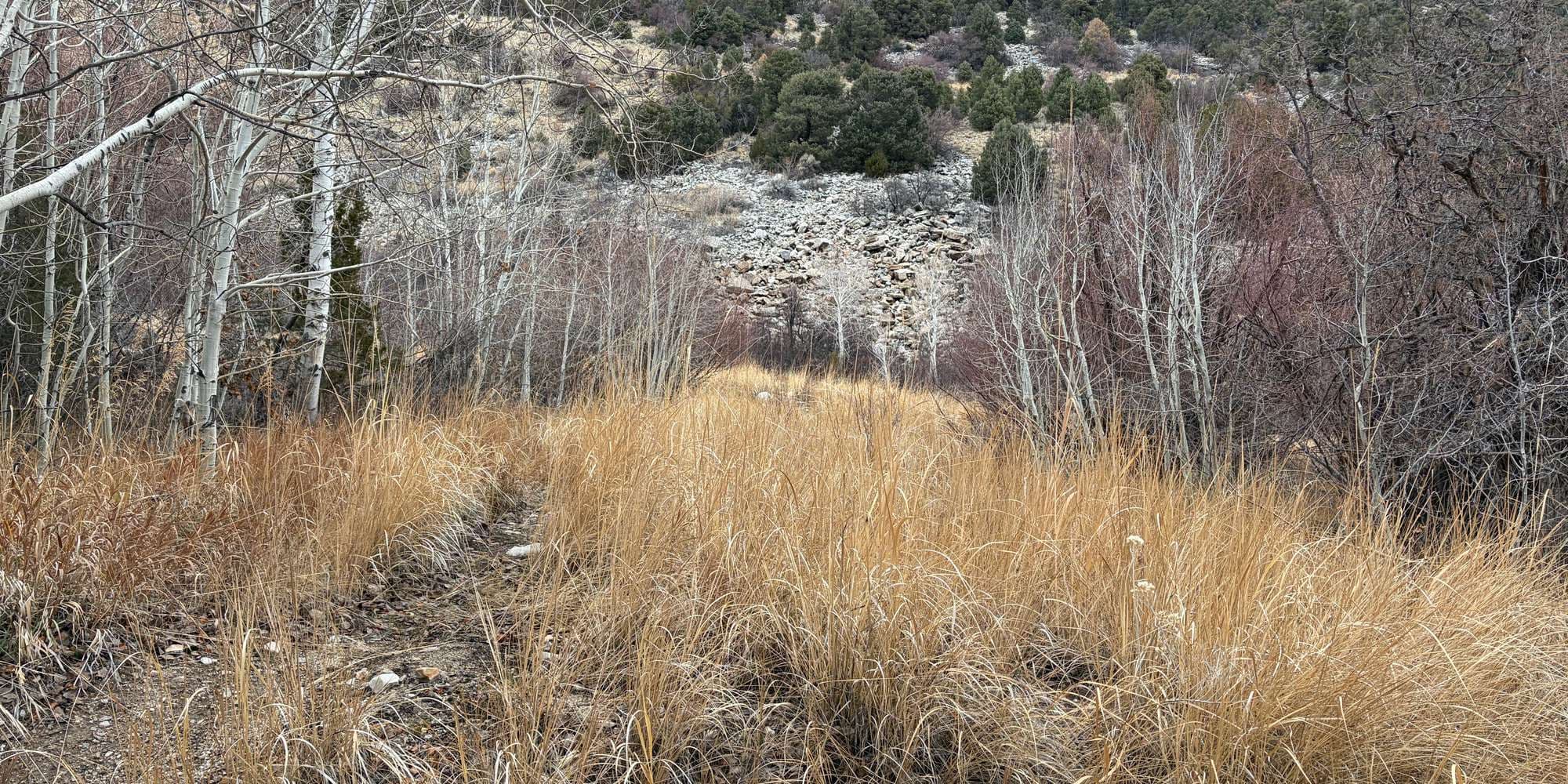 Second image to compare