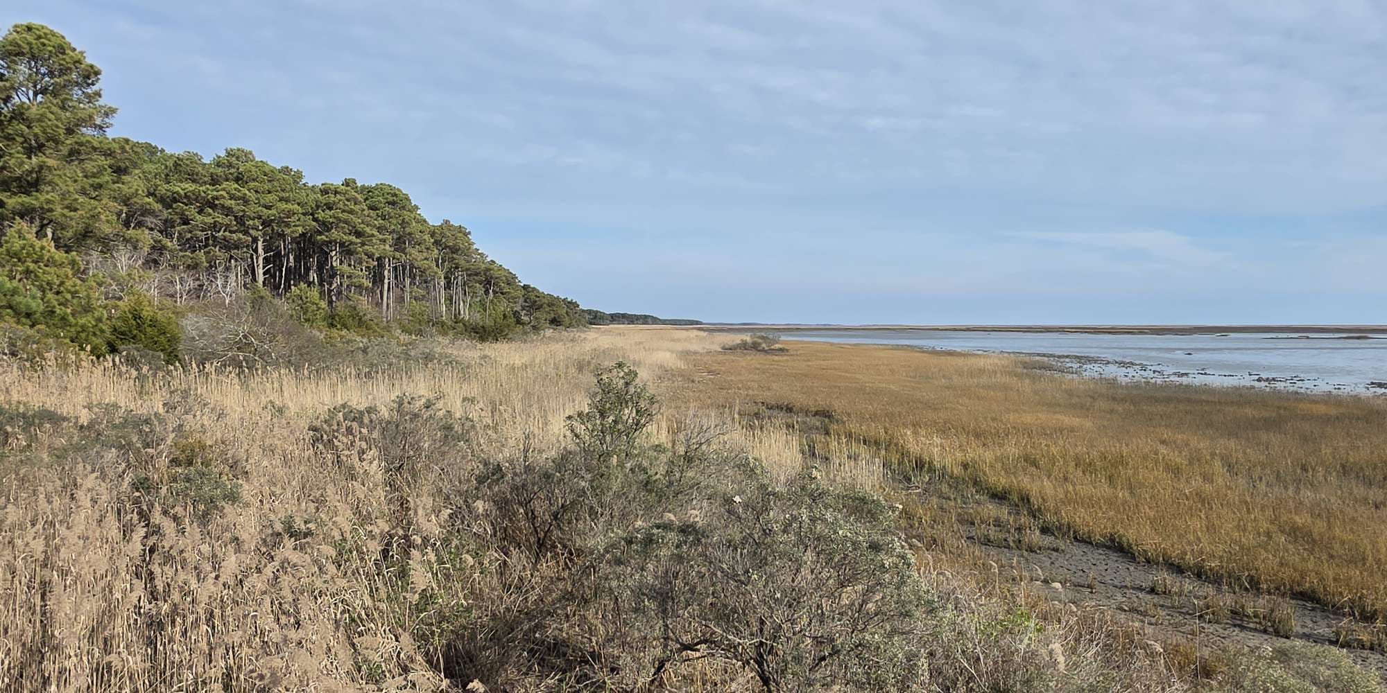 Second image to compare