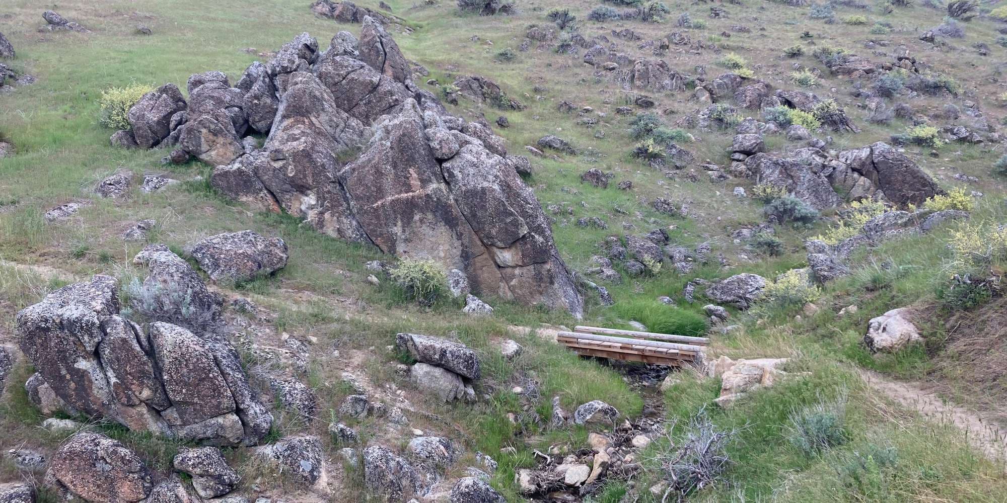 First image to compare