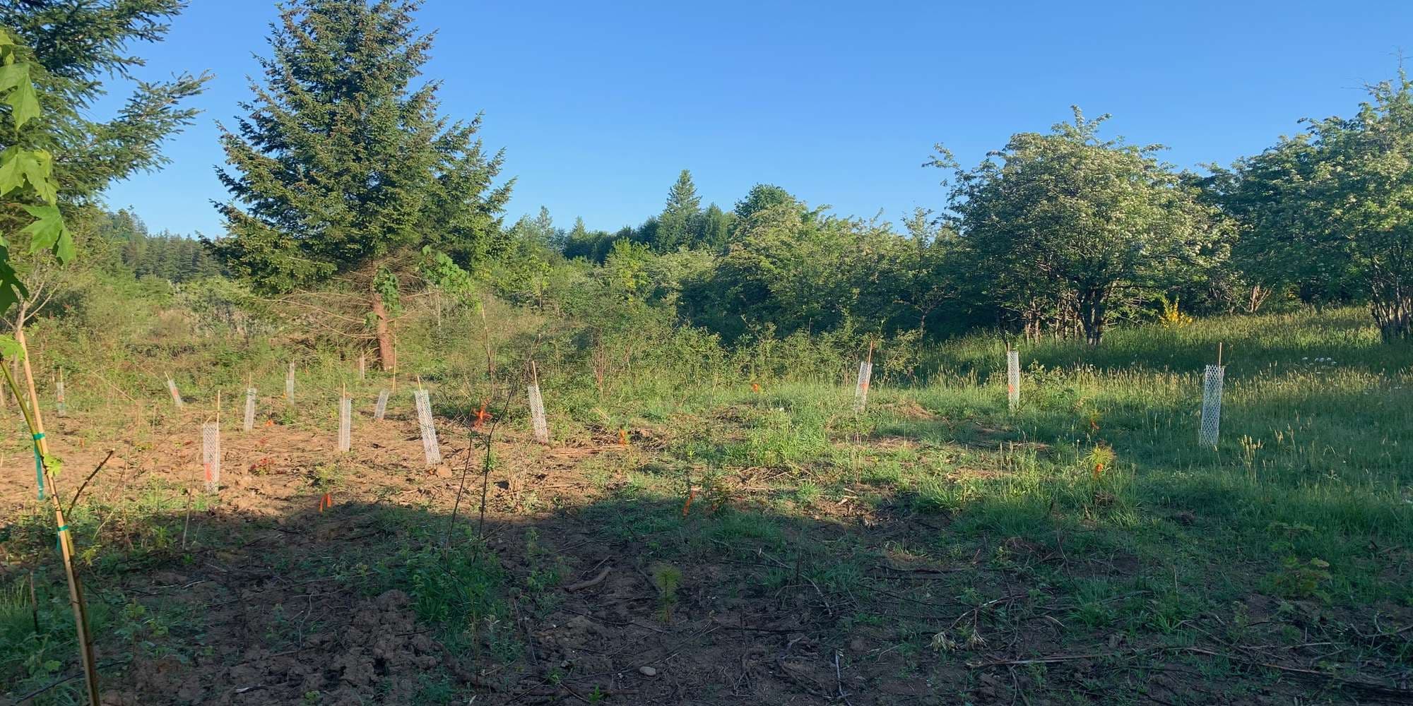 First image to compare