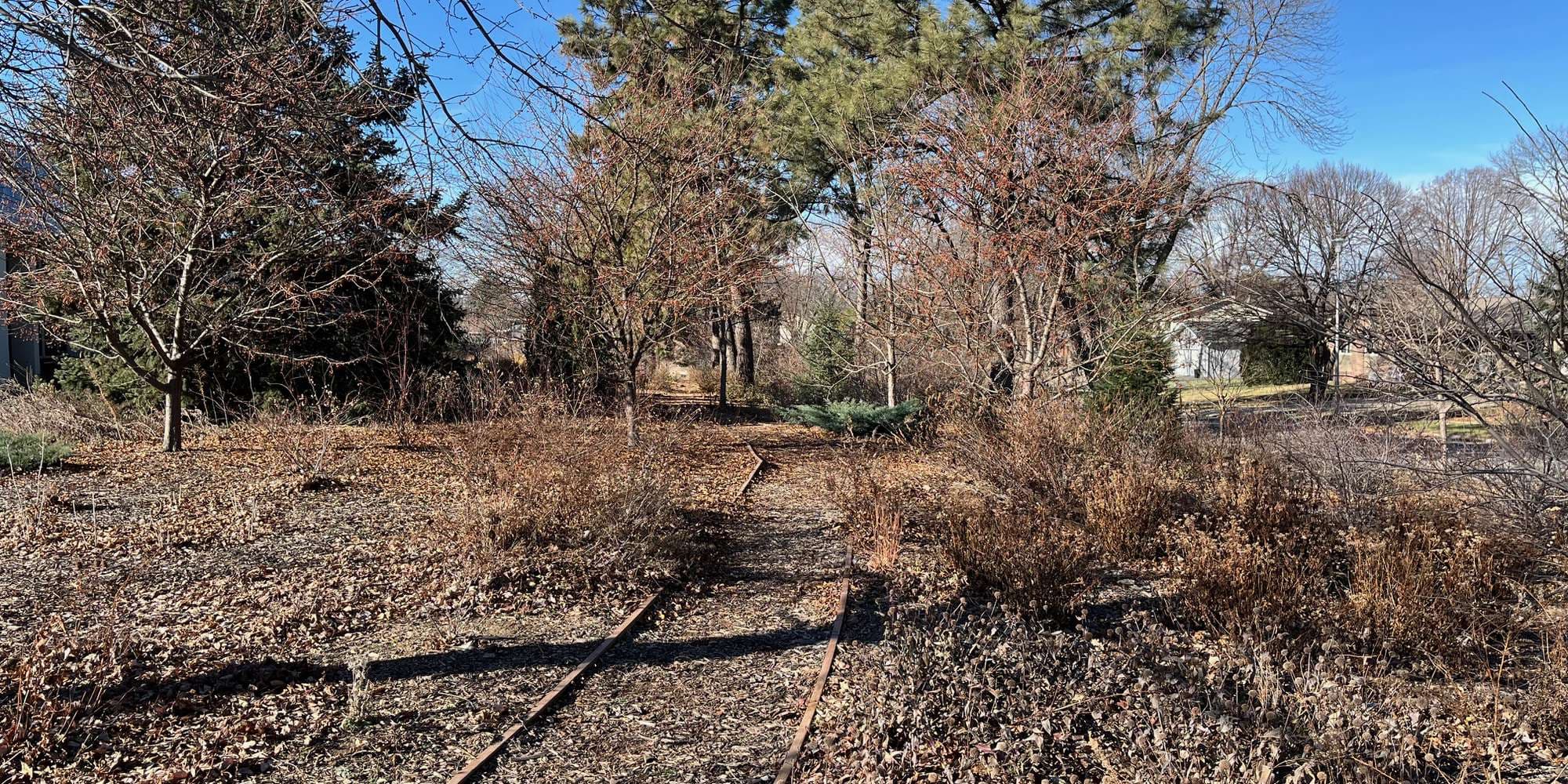 Second image to compare