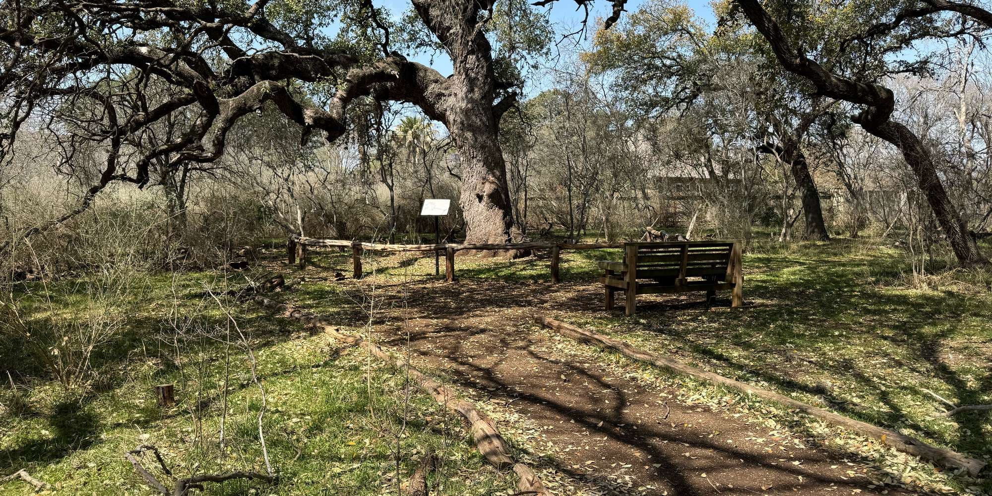 First image to compare