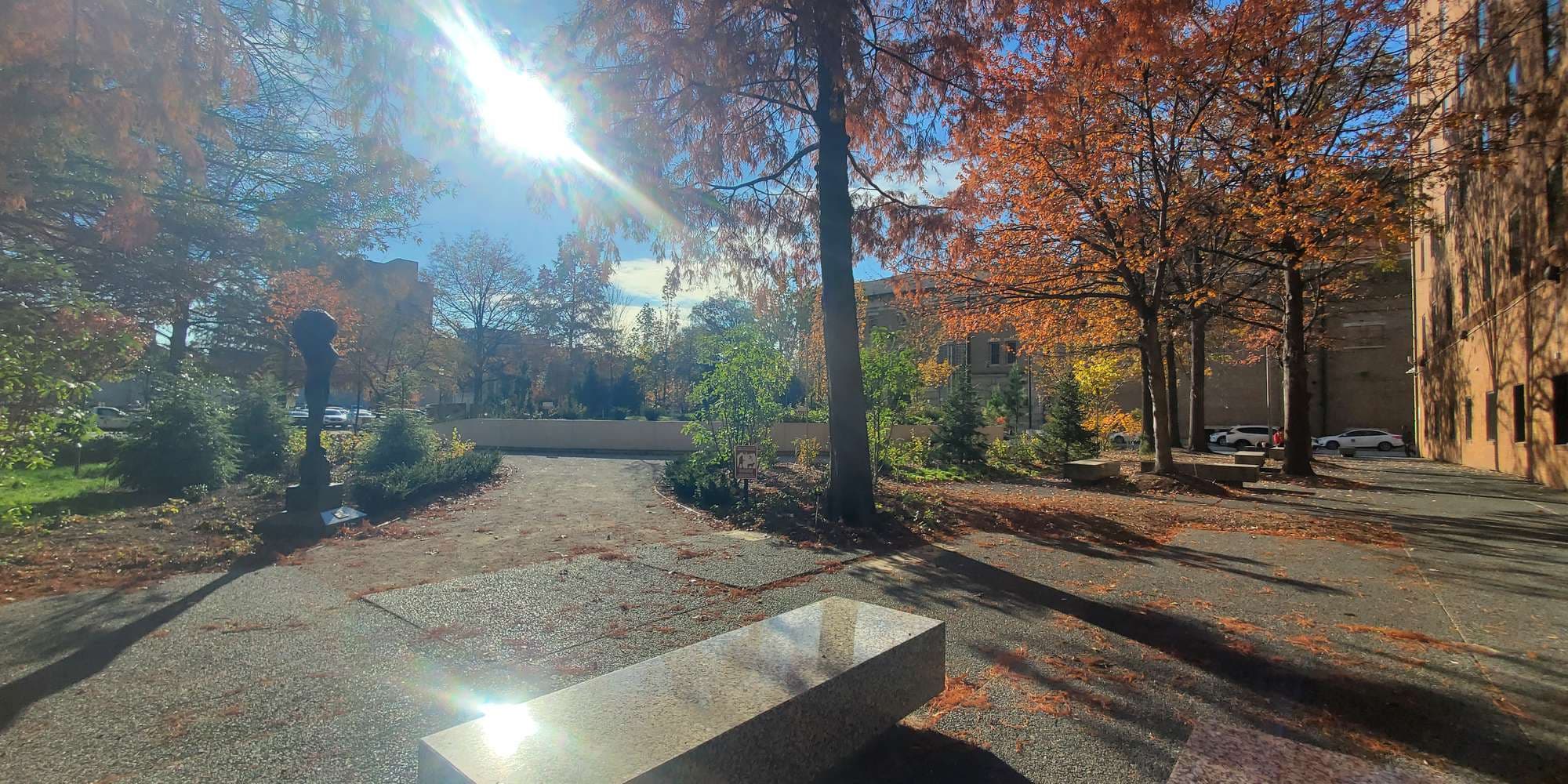 Second image to compare