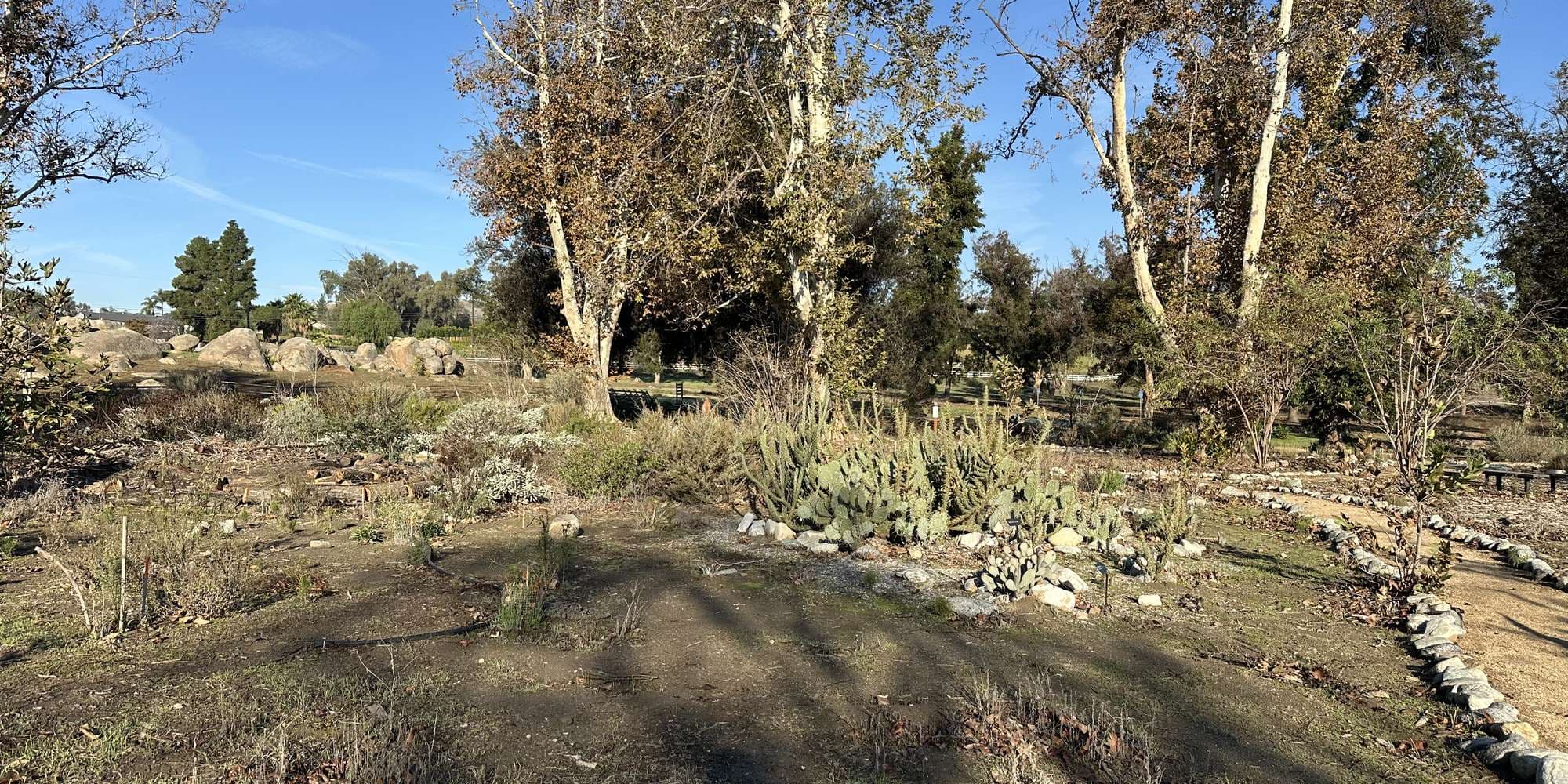 Second image to compare