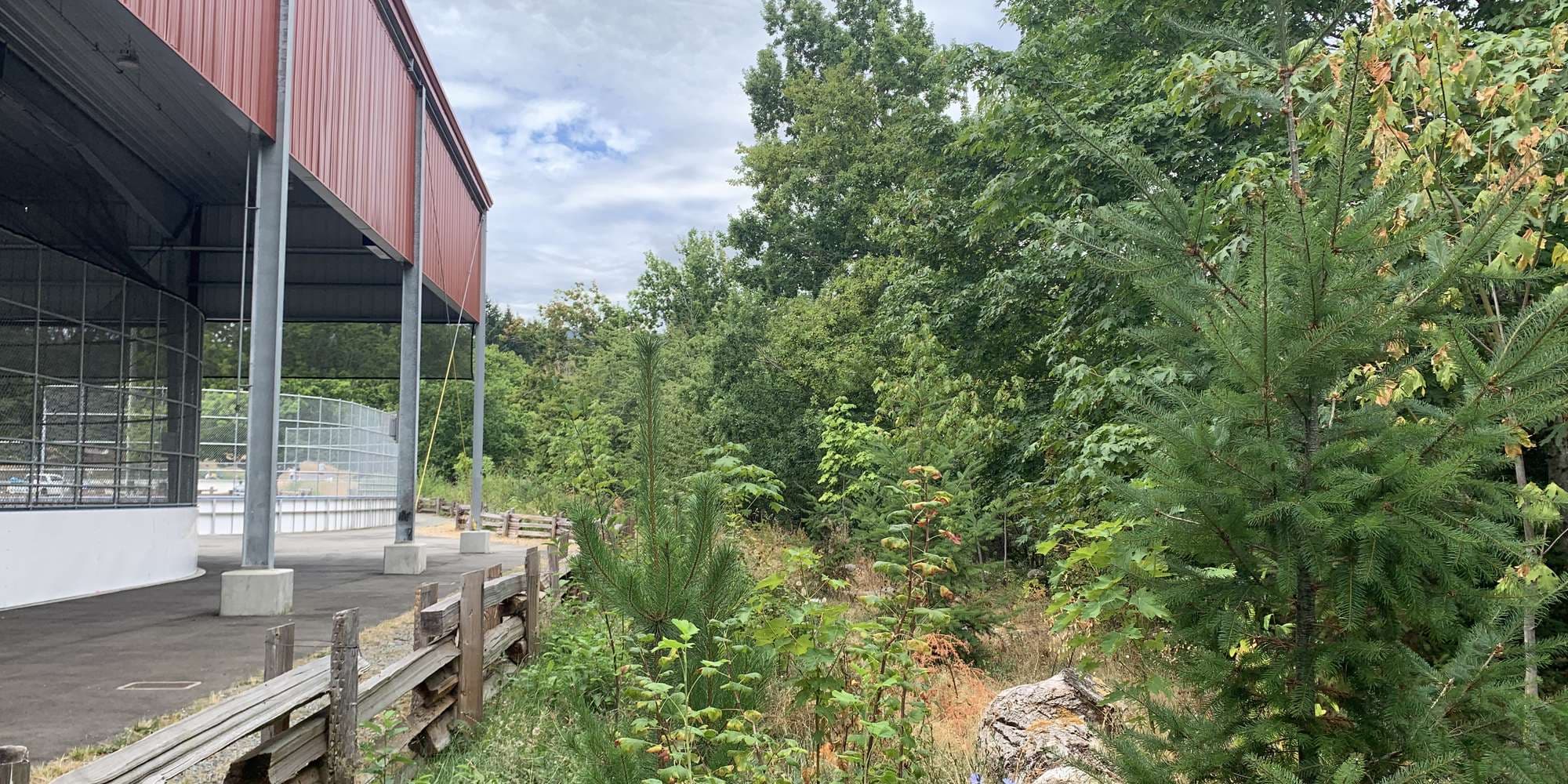 Second image to compare