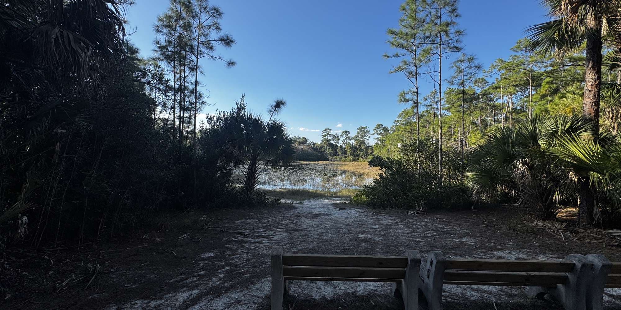 Second image to compare