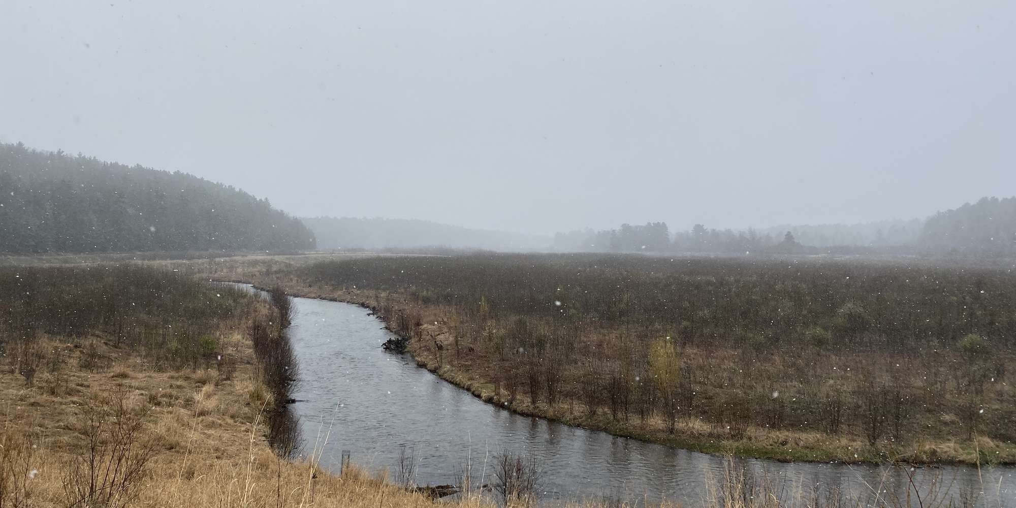 First image to compare