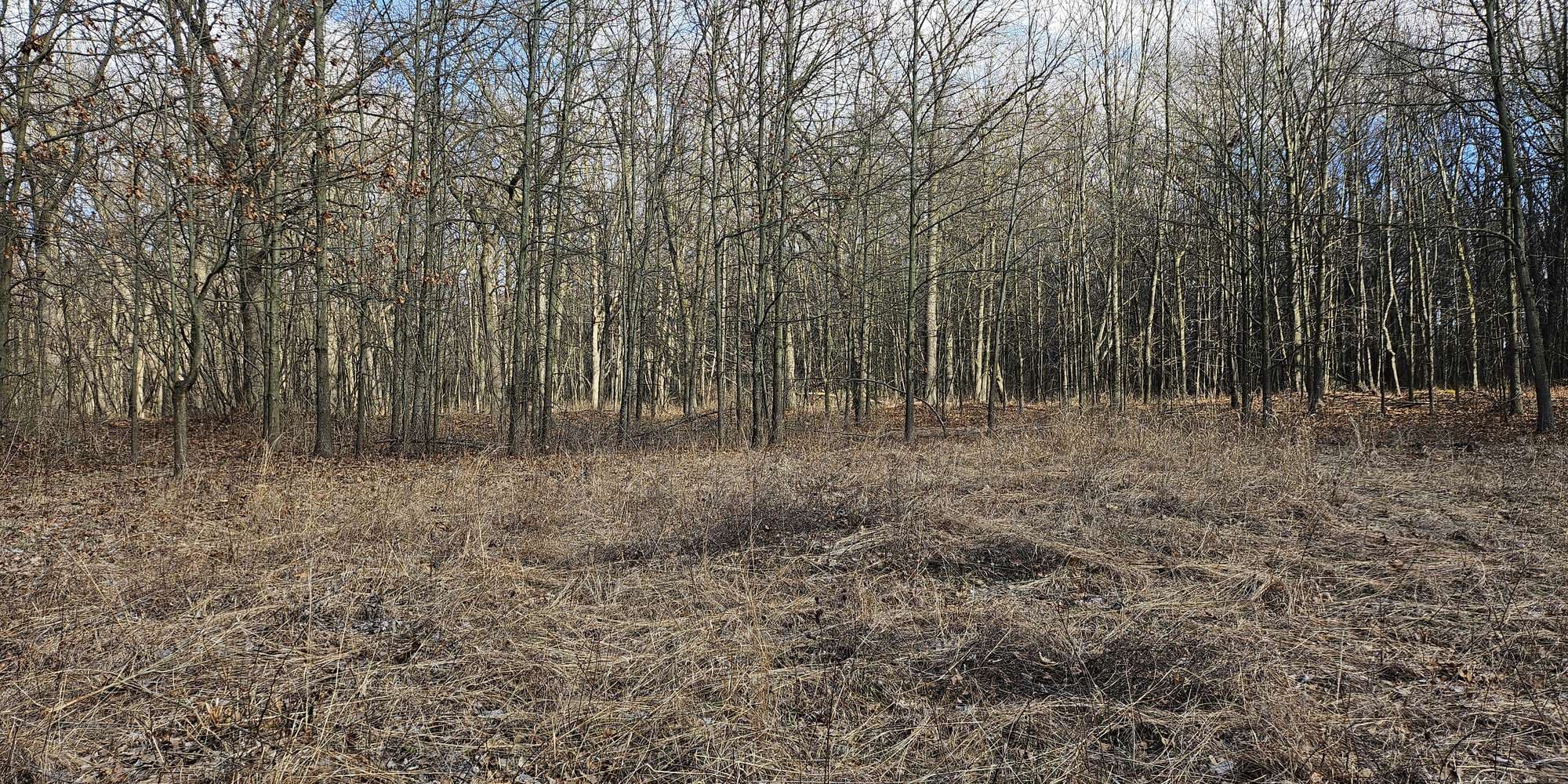 First image to compare