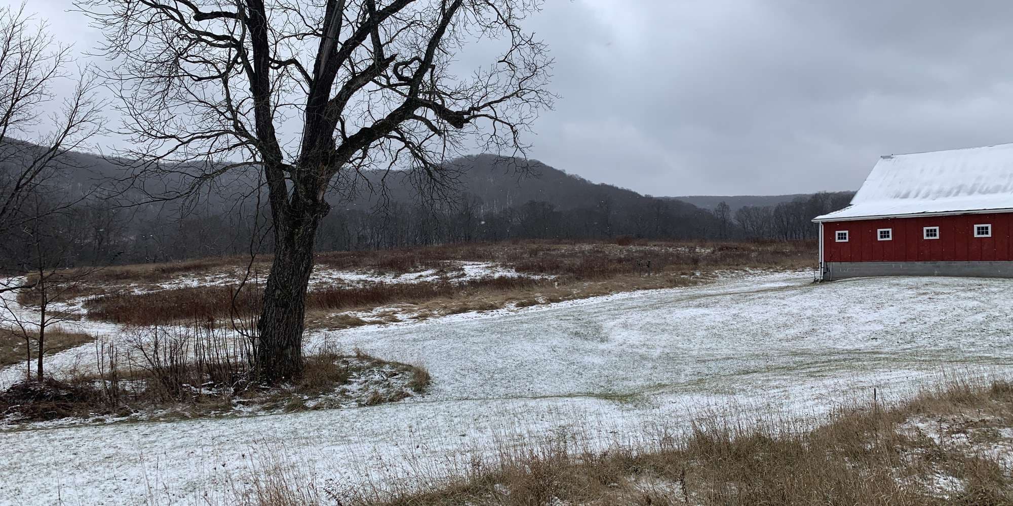 Second image to compare