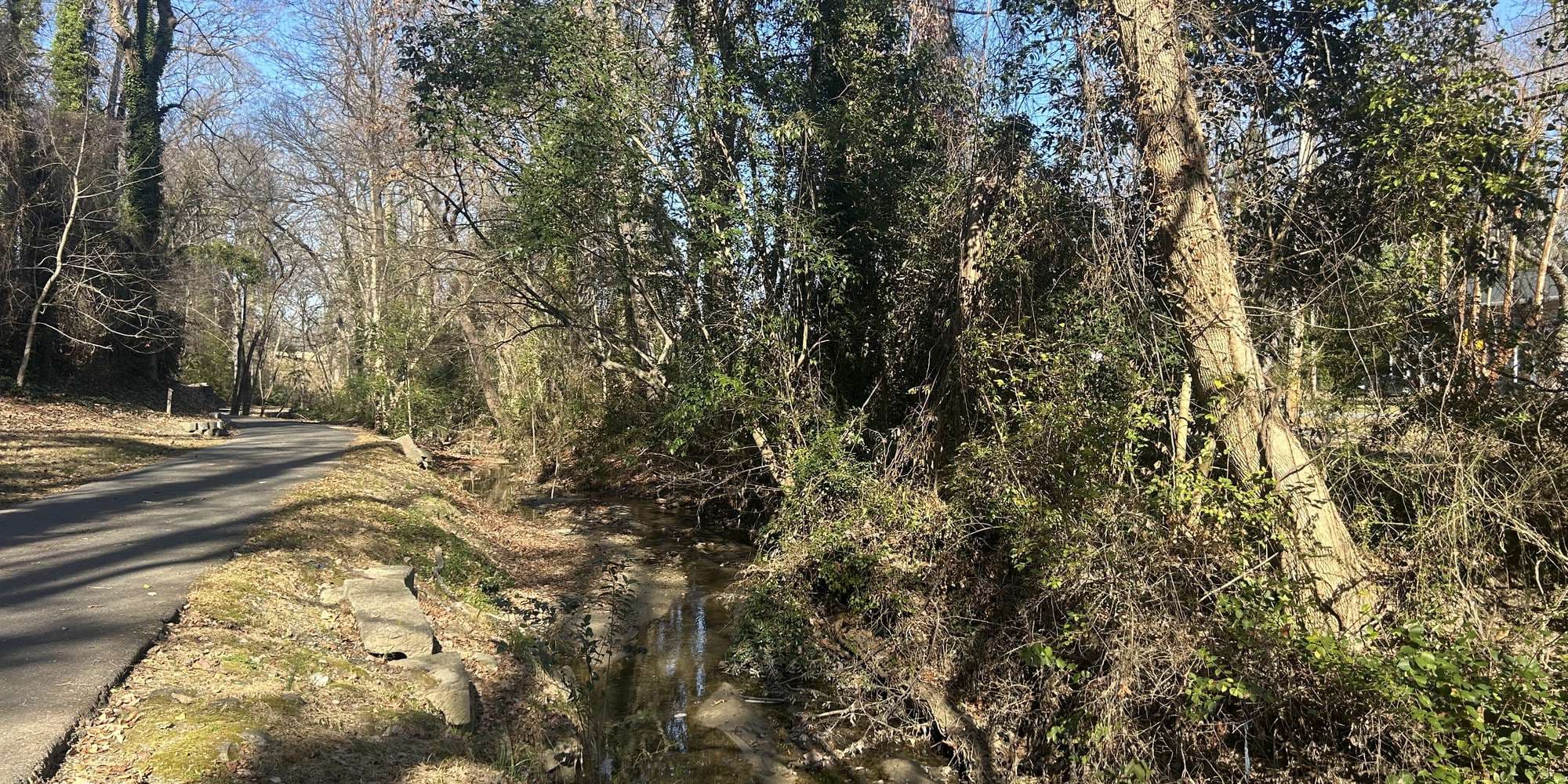 Second image to compare