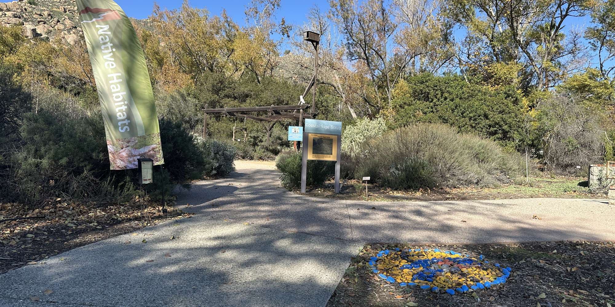 Second image to compare