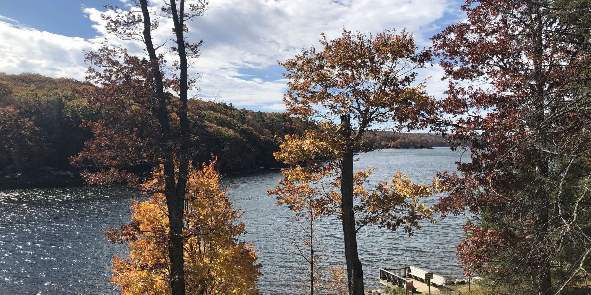 Second image to compare