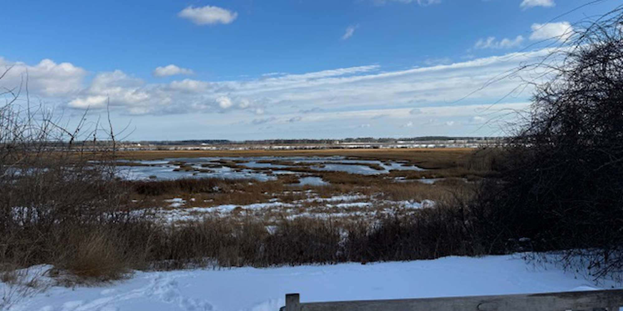 Second image to compare