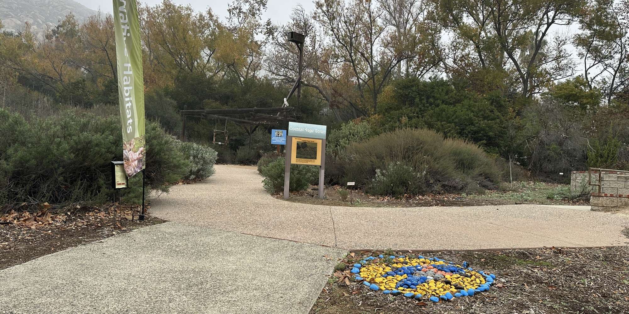 Second image to compare