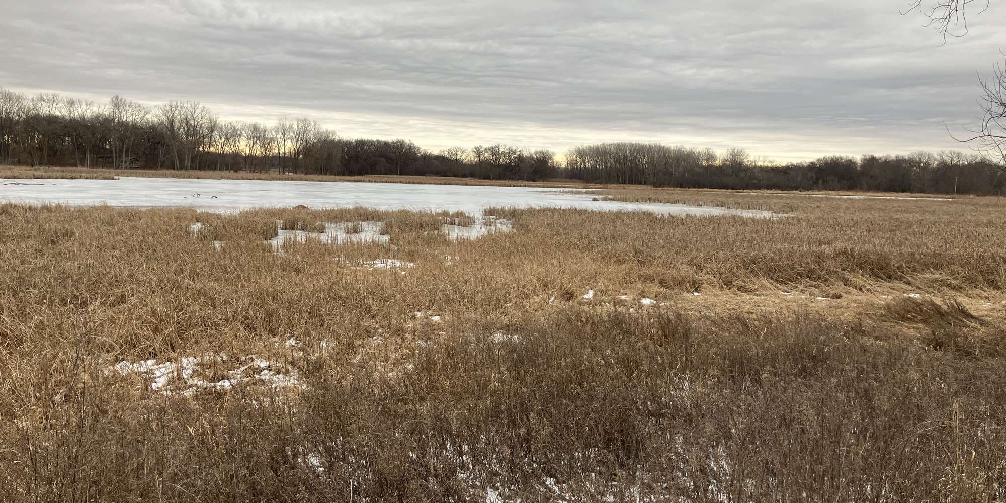 Second image to compare