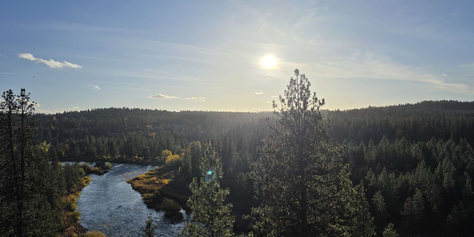 Second image to compare